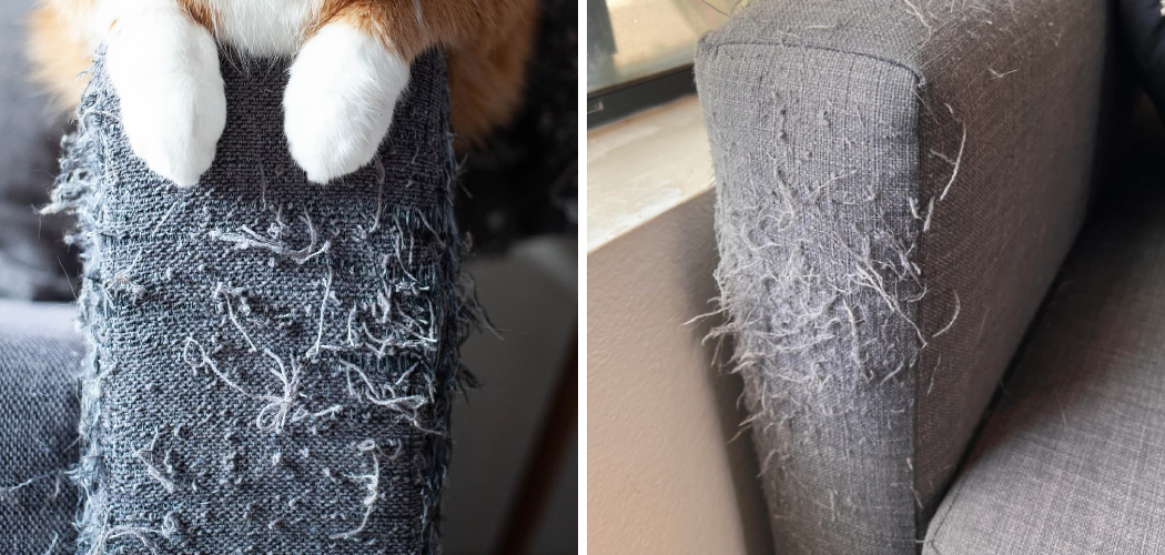 How to Fix a Couch From Cat Scratches