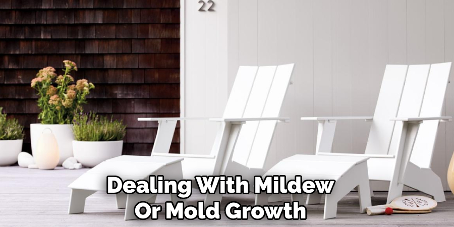Dealing With Mildew
Or Mold Growth   