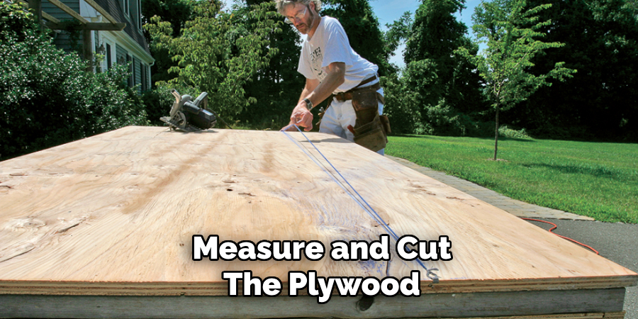 Measure and Cut
The Plywood