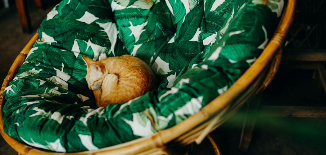 How to Papasan Chair Cushion