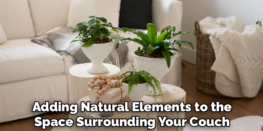 Adding Natural Elements to the
Space Surrounding Your Couch