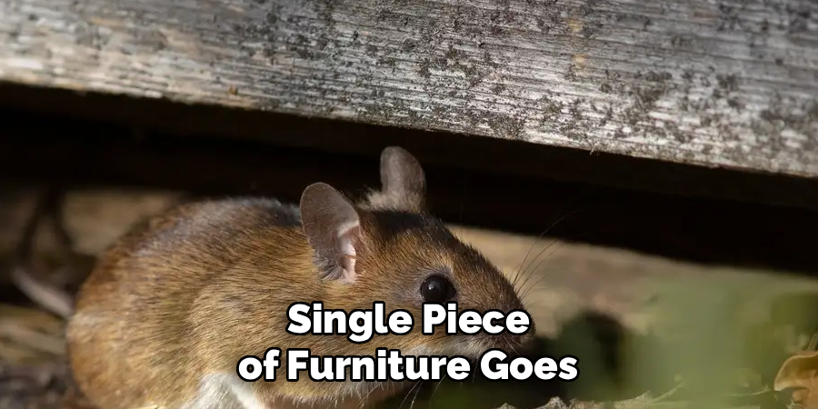 Single Piece of Furniture Goes